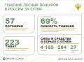 За прошедшие сутки в 20 регионах России потушили 57 лесных пожаров