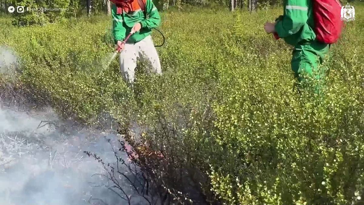 Добровольцы помогают тушить пожары