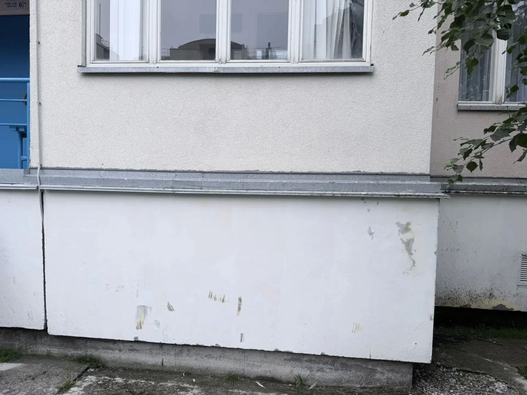 Власти разберутся с «голубиным беспределом» в одном из дворов Салехарда Власти разберутся с «голубиным беспределом» в одном из дворов Салехарда