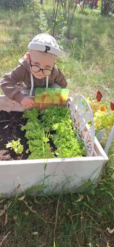 Мы сажаем огород. Посмотрите, что растёт! Мы сажаем огород. Посмотрите, что растёт!