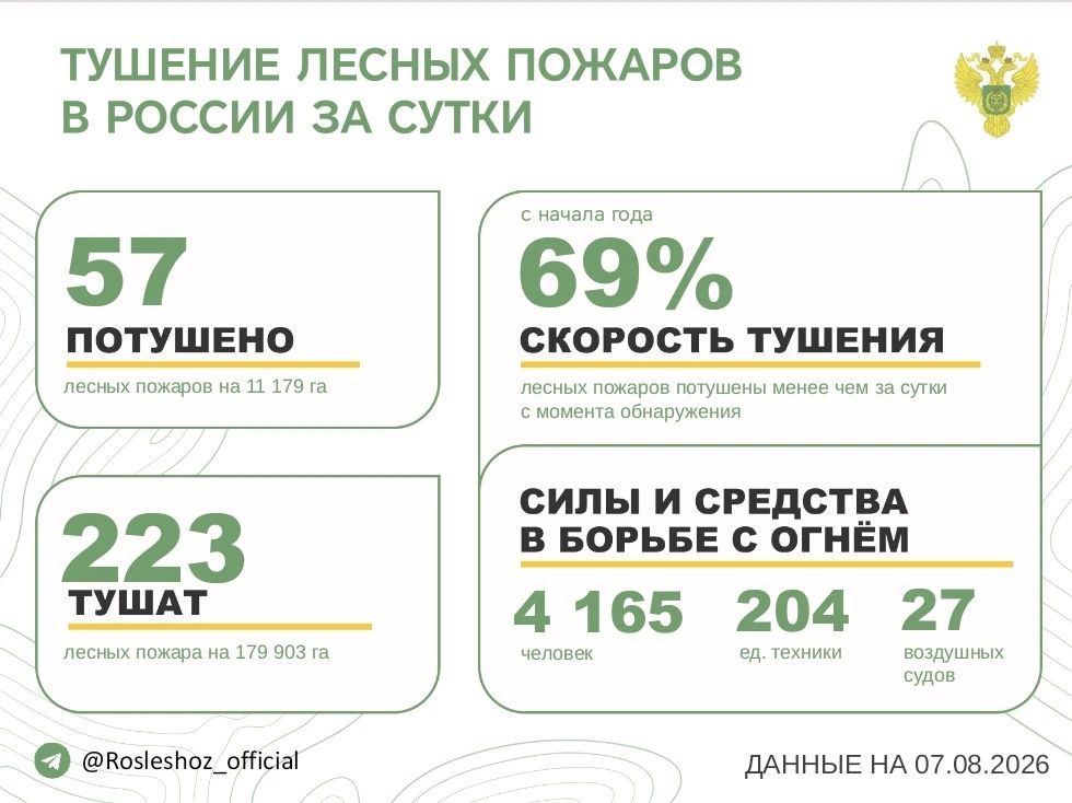 За прошедшие сутки в 20 регионах России потушили 57 лесных пожаров