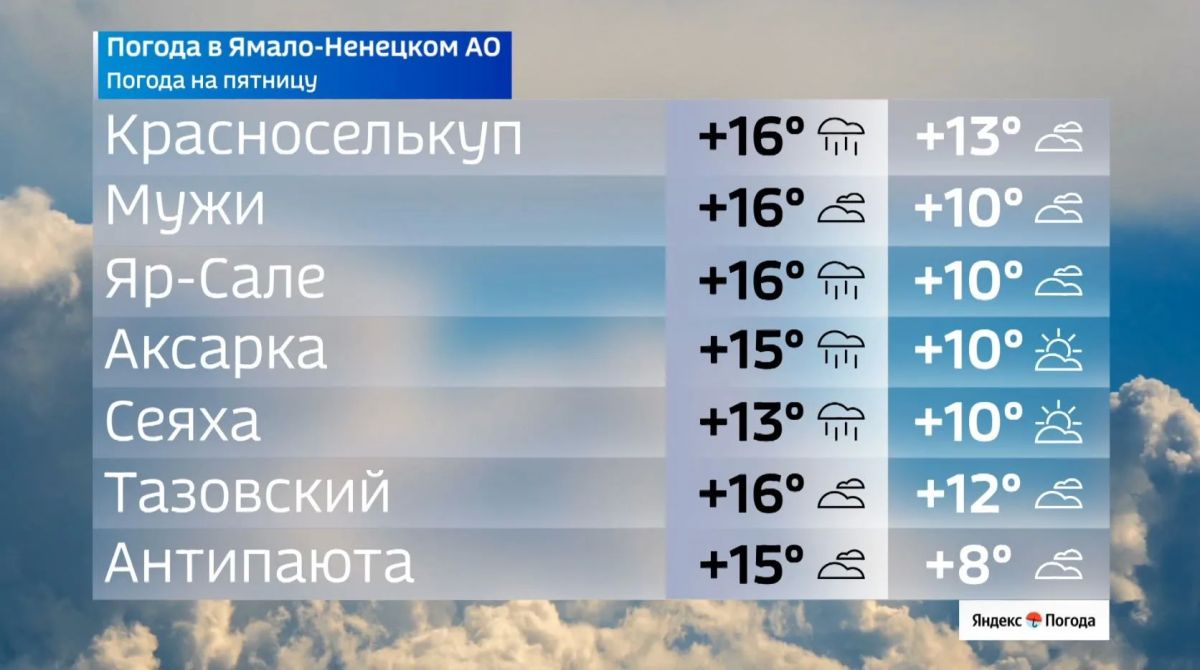 Спасительные дожди пришли на Ямал Спасительные дожди пришли на Ямал