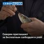 � ��������� 29 ������� �� ����� ����� ��������� ��������� �������� ��������� �� ������� �������-2026�