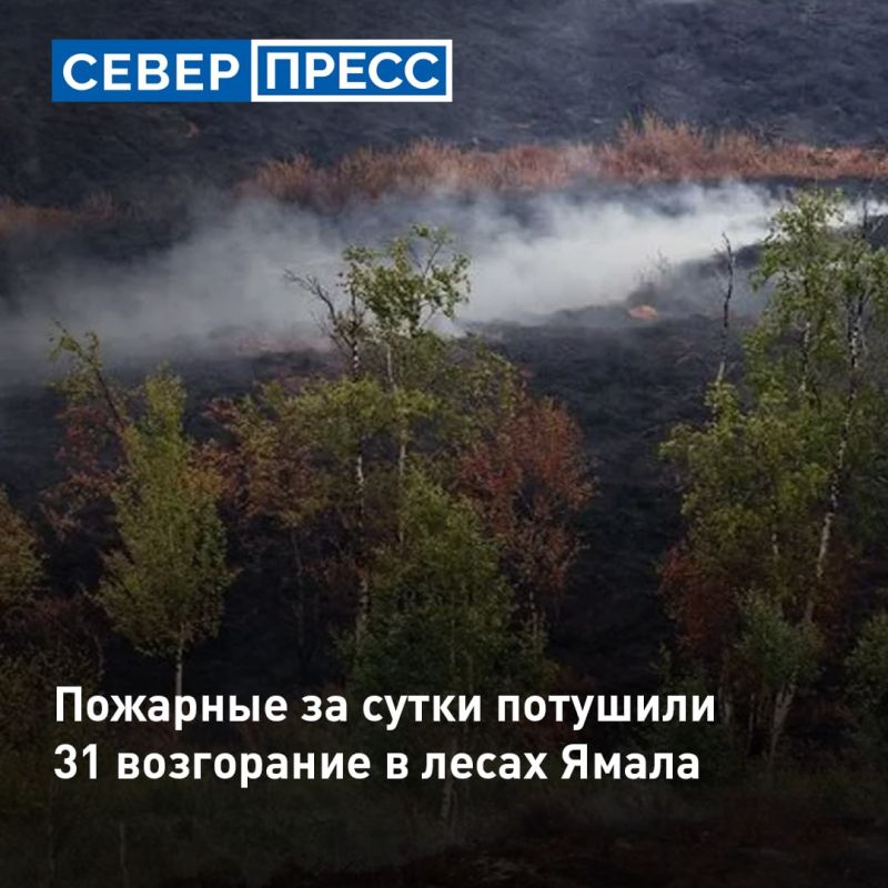 За минувшие сутки на территории округа специалисты ликвидировали 31 природный пожар на площади более семи тысяч гектаров