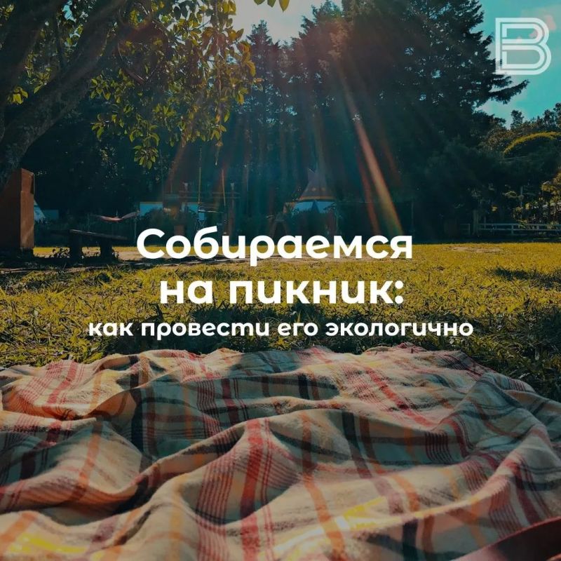 Собираемся на пикник: как провести его экологично