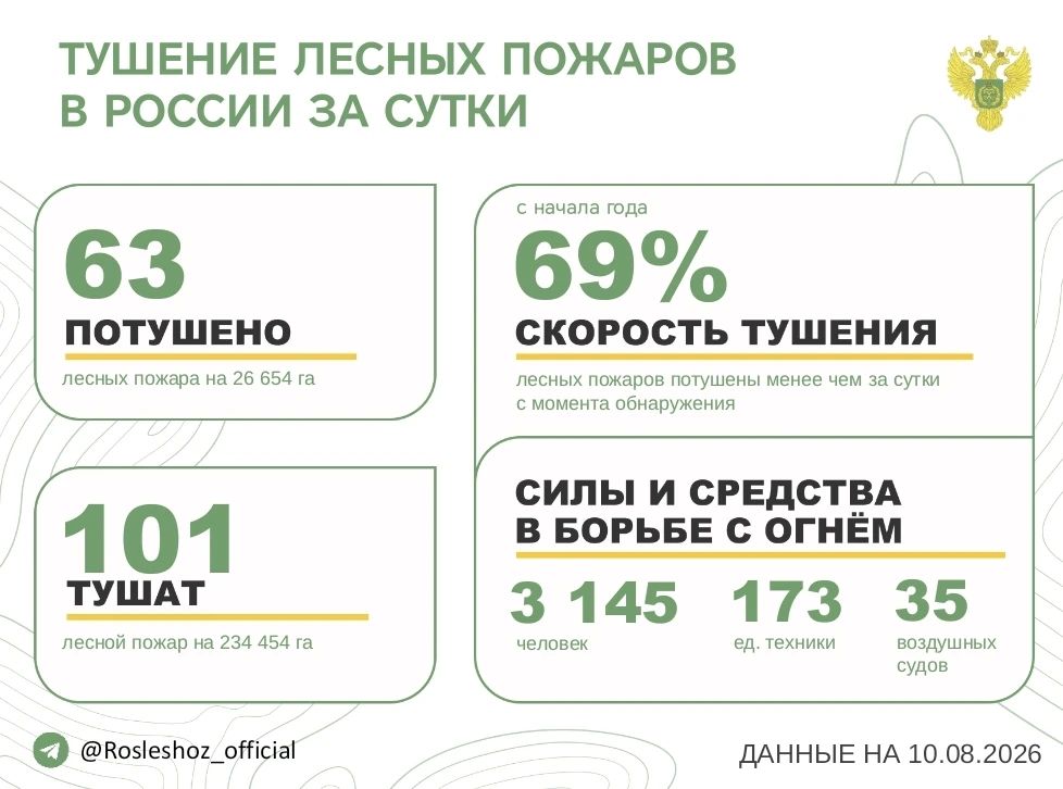 За прошедшие сутки в 11 регионах России потушили 63 лесных пожара