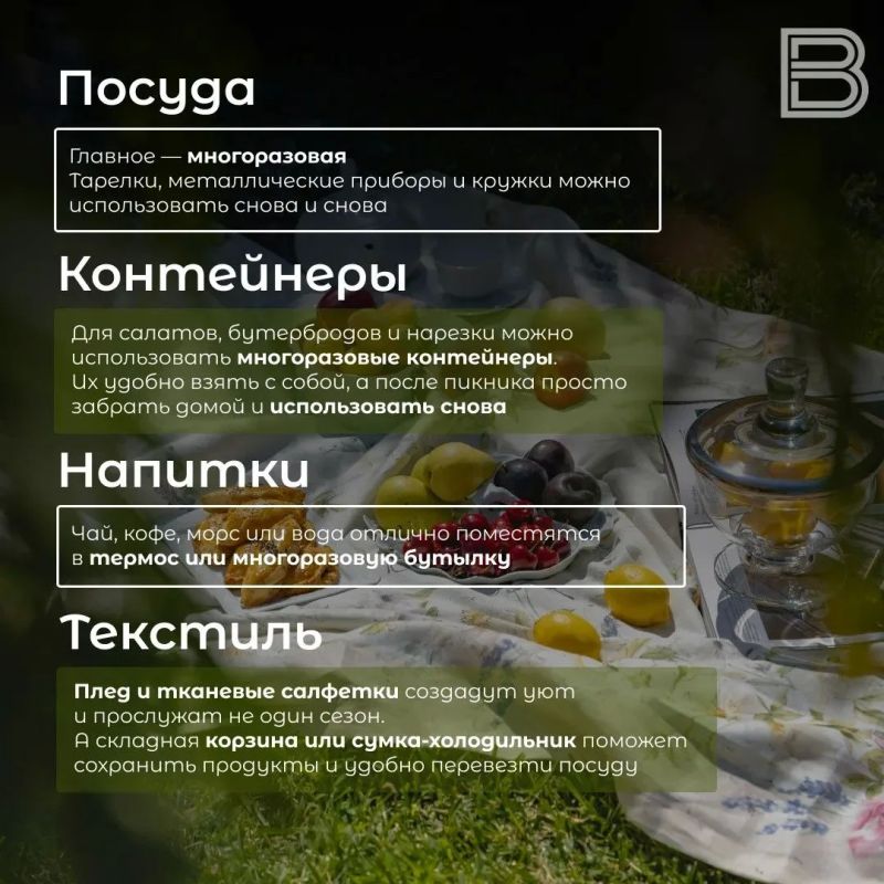 Собираемся на пикник: как провести его экологично Собираемся на пикник: как провести его экологично