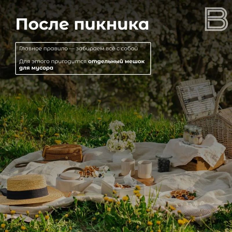 Собираемся на пикник: как провести его экологично Собираемся на пикник: как провести его экологично