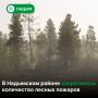 В муниципалитете зафиксировано 14 природных пожаров