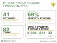 За прошедшие сутки в 11 регионах России потушили 41 лесной пожар