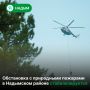 В Надымском районе действуют 15 природных пожаров