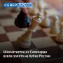 Шахматистка из Салехарда взяла золотую медаль на третьем этапе Кубка России