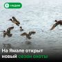 � 1 ������� ��������� ������ ������ ������� � �����, � �������� ������ � ������� ����, ����� � ��������� ���������, � � 25 ������� � ������������� � �������-������� ����