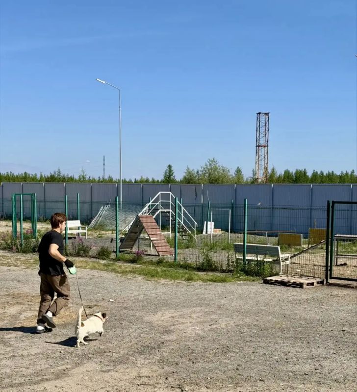 «ГороДог» объявляет день открытых дверей! «ГороДог» объявляет день открытых дверей!