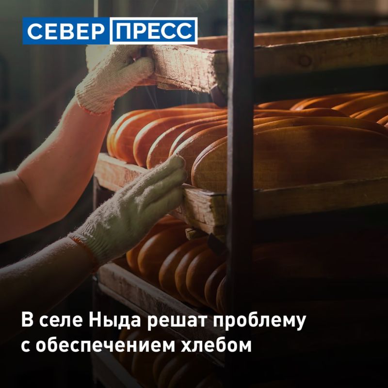 В Надымском районе решат проблему с обеспечением хлебом