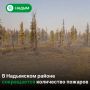 В муниципалитете спасатели тушат 12 природных пожаров, половину из них уже удалось локализовать