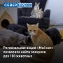 100 �������� �� ������� ������ �������� ��������� ����� ���� ���