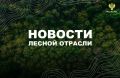AK&M: Рослесхоз: Ямало-Ненецкому автономному округу надлежит усилить меры по дотушиванию лесных пожаров