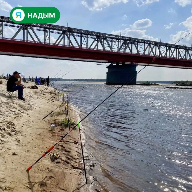 В Надыме прямо сейчас выясняют, у кого клюёт лучше всех В Надыме прямо сейчас выясняют, у кого клюёт лучше всех
