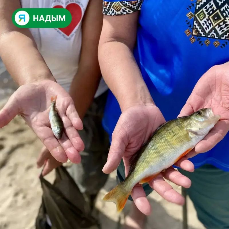 В Надыме прямо сейчас выясняют, у кого клюёт лучше всех В Надыме прямо сейчас выясняют, у кого клюёт лучше всех