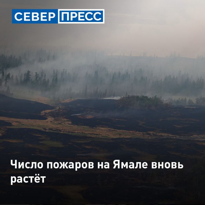 77 природных пожаров действуют на территории Ямала