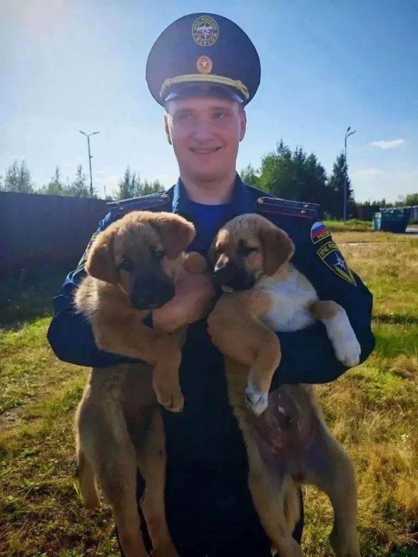 День открытых дверей помог 8 питомцам найти новый дом