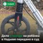 В Надыме уголовное дело против водителя передано в суд