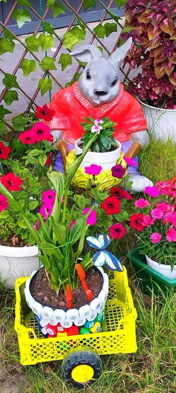 «Мой зелёный город». Новоуренгойцы голосуют за участников конкурса, которые с любовью и заботой украшают город «Мой зелёный город». Новоуренгойцы голосуют за участников конкурса, которые с любовью и заботой украшают город