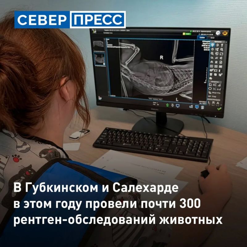 В Губкинском и Салехарде с начала 2026 года провели 293 рентген-обследований животных