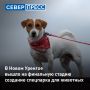 Создание парка для собак в Новом Уренгое находится на финальной стадии