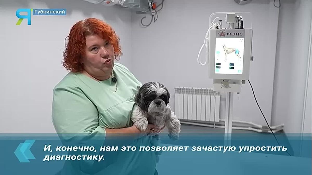 Новостной дайджест на «Ямал-Медиа»