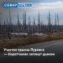 Участок автодороги Пуровск — Коротчаево с 579 по 584 км заволокло дымом из-за лесных пожаров