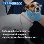 Ямальские ветеринары не получали жалоб на вакцину для животных «Мультикан-8»