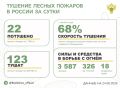 За прошедшие сутки в 11 регионах России потушили 22 лесных пожара