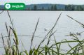 Хорошего дня, друзья!. Пусть утро начнётся с любимого кофе, приятных новостей и улыбки без повода