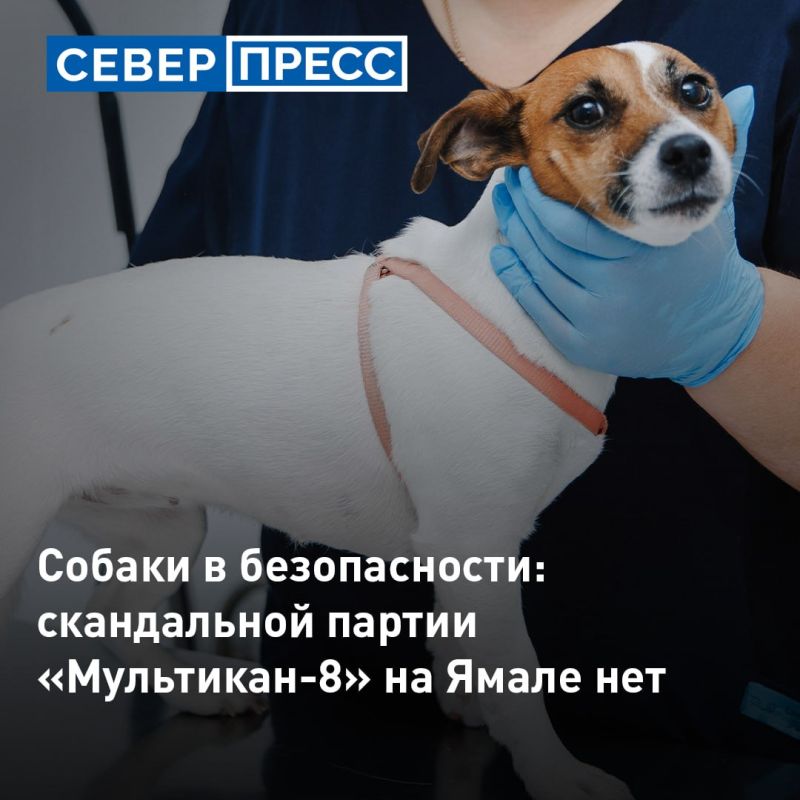Ямальские ветеринары не получали жалоб на вакцину для животных «Мультикан-8»