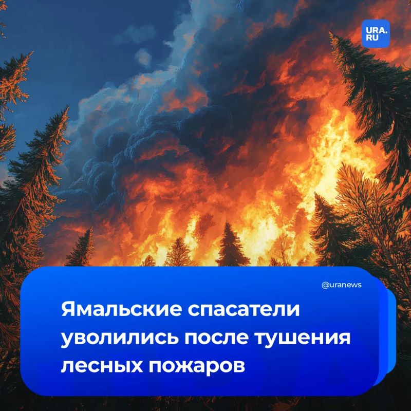 Спасатели увольнялись после тушения лесных пожаров на Ямале