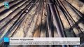 На Ямале стартует проект «Погружение»