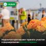 Хотите сделать Надым уютнее?