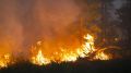 �������� ��������� �� ��������� ����� ������ �������� ��������� �����