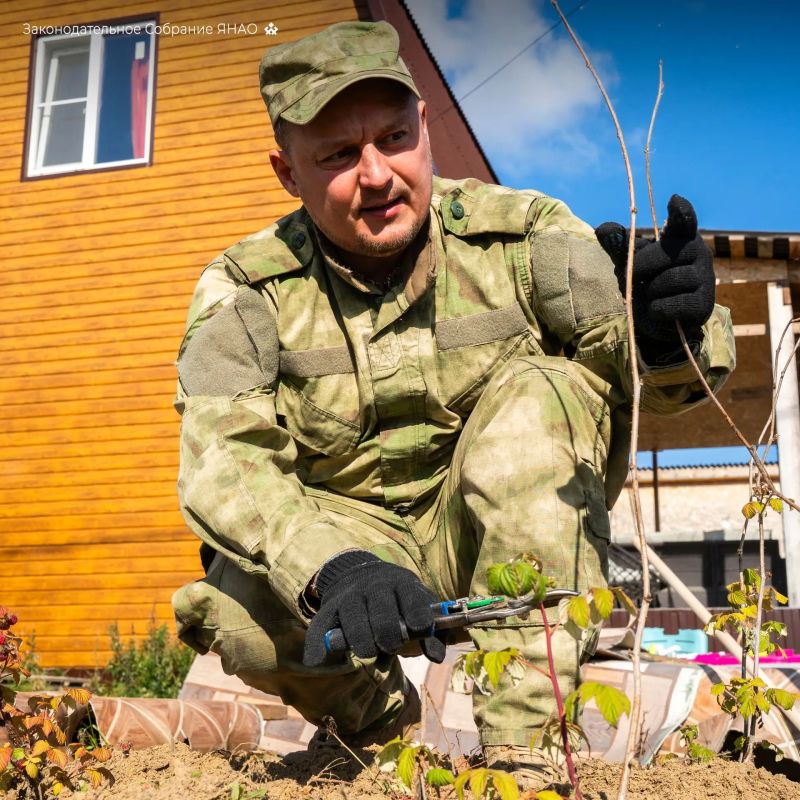 В многодетной семье ветерана СВО Константина Дукина собрали первый урожай малины В многодетной семье ветерана СВО Константина Дукина собрали первый урожай малины