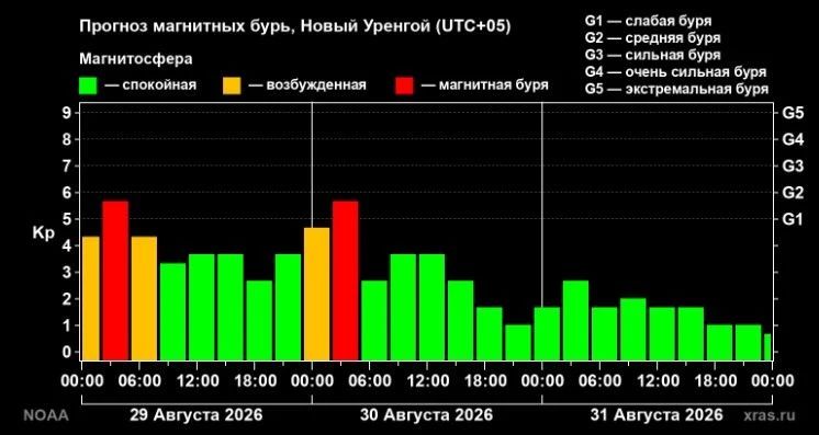 Ямальцы сегодня ночью смогут увидеть яркое северное сияние Ямальцы сегодня ночью смогут увидеть яркое северное сияние