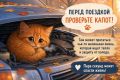 ���� ������ ������ ��������� ����������� �������, ��� �������� ���� �� �������� ����� - � ��������� ������ ��� ������ ��������� �� ��� ������, ����� �� ����� ������