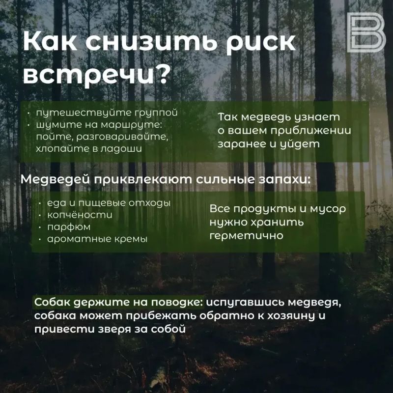 В Салехарде заметили медведей: что делать, если с ними столкнулись В Салехарде заметили медведей: что делать, если с ними столкнулись