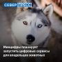 � ������ ��������� ����������� ����� ��������������� �������