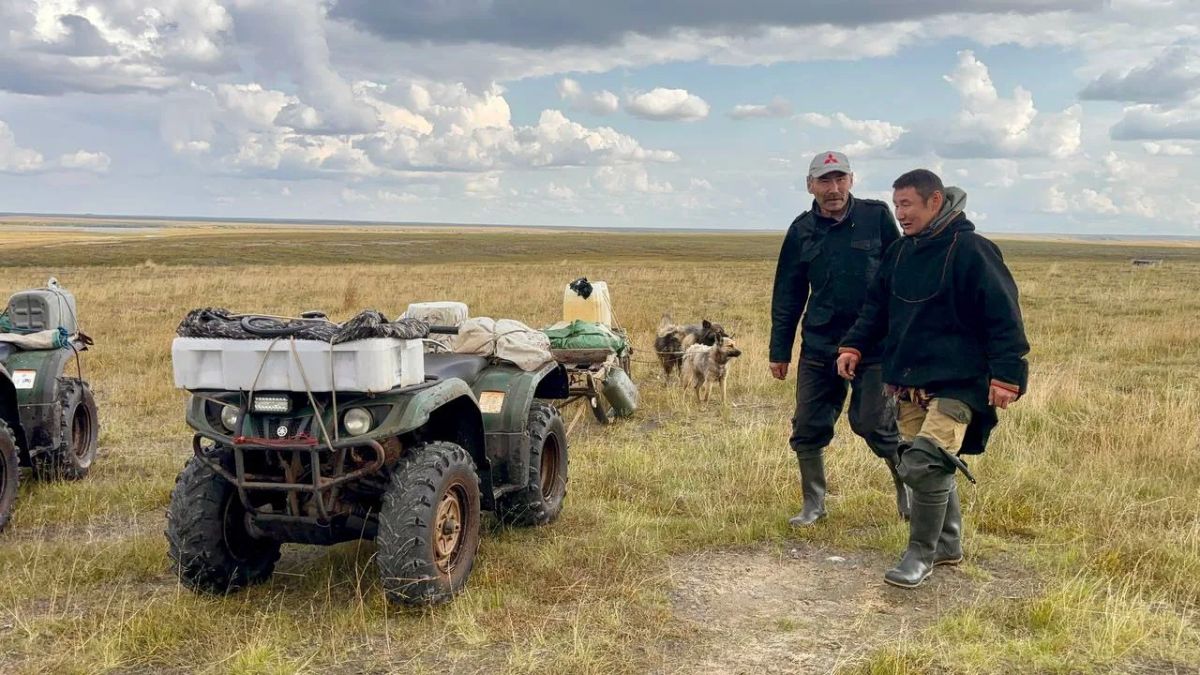 На Ямале стартовал первый этап убойной кампании по заготовке оленины На Ямале стартовал первый этап убойной кампании по заготовке оленины