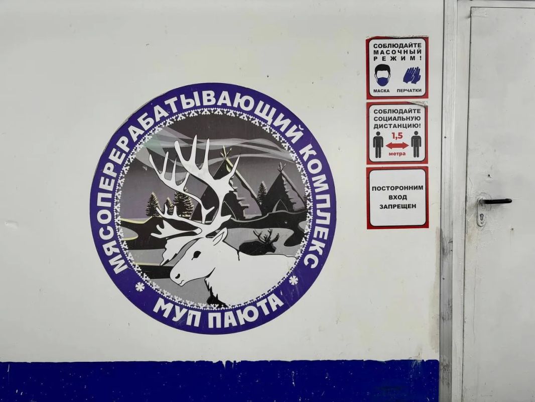 На Ямале стартовал первый этап убойной кампании по заготовке оленины На Ямале стартовал первый этап убойной кампании по заготовке оленины