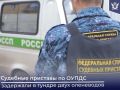 � �����-�������� ���������� ������ �������� �������� �� ����� � ���� ������� ��������� � ������ ���� ������� �������, ������� ���������� �� ����
