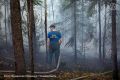 �� ����� �� ����� ��������� 887 ��������� �������, ��� ����� �������� �� ��������� 14 ���