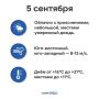 Погода на Ямале 5 сентября